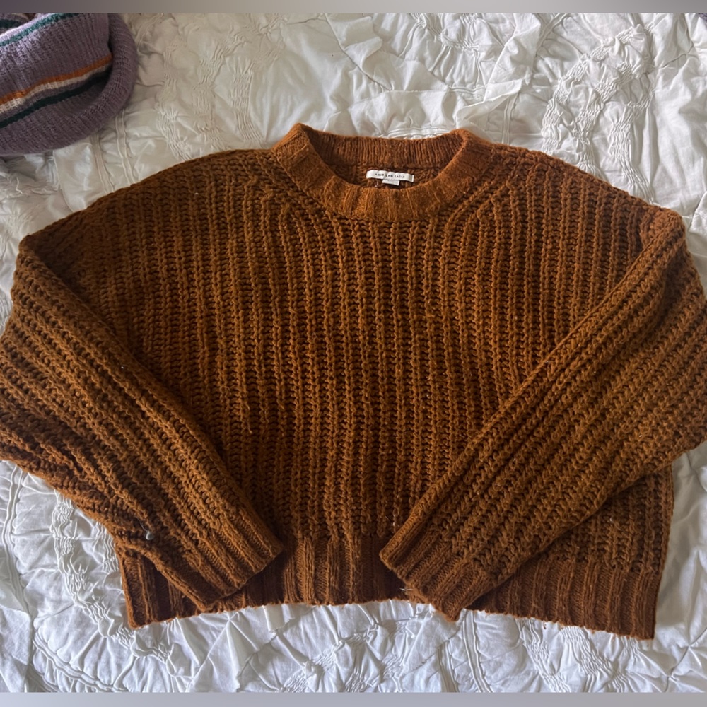 EUC American Eagle Cropped Crewneck Sweater